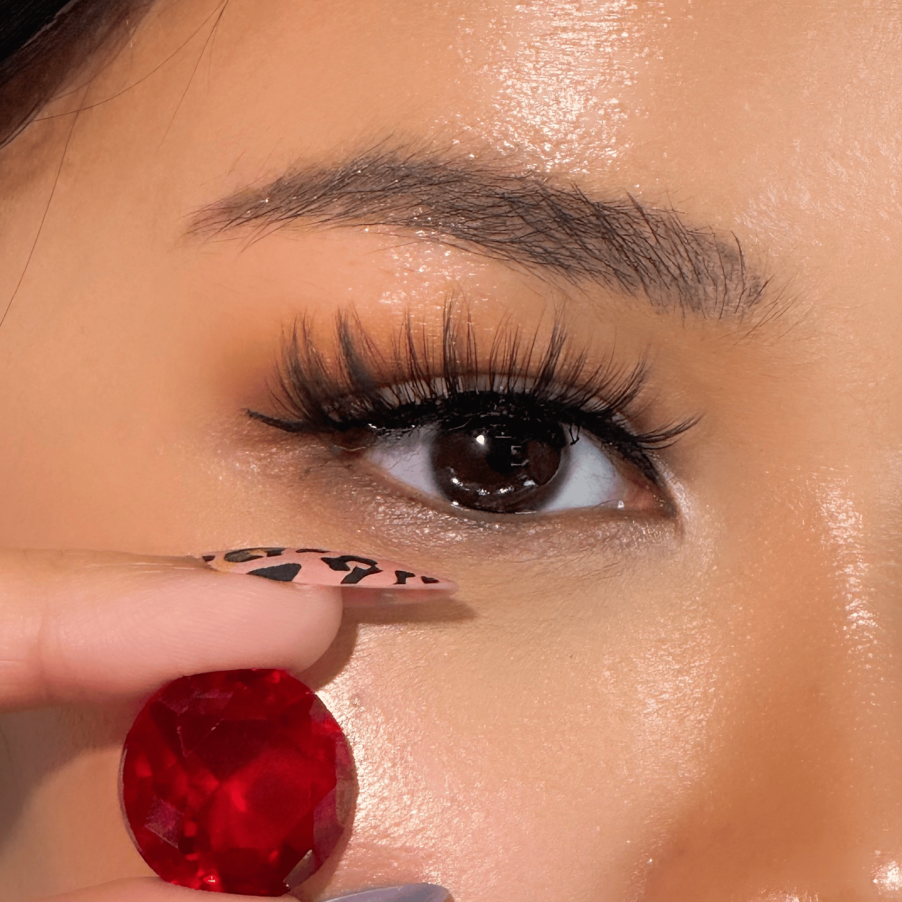 รุ่นทับทิม | Ruby