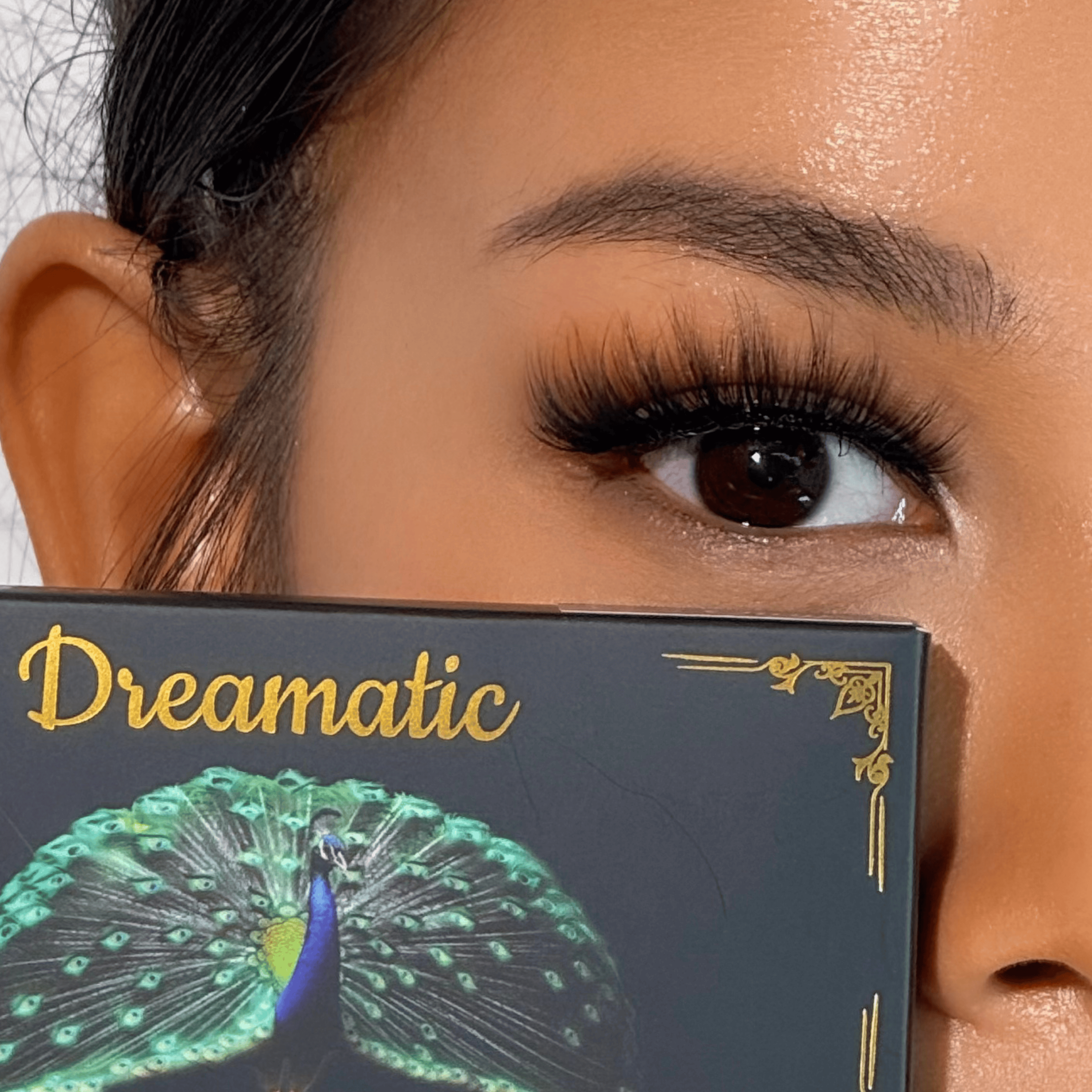 รุ่นโอนิกส์ | Onyx