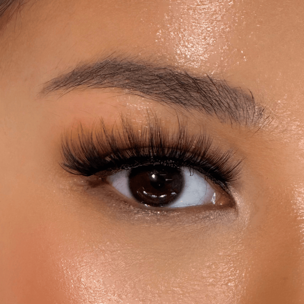 รุ่นโอนิกส์ | Onyx