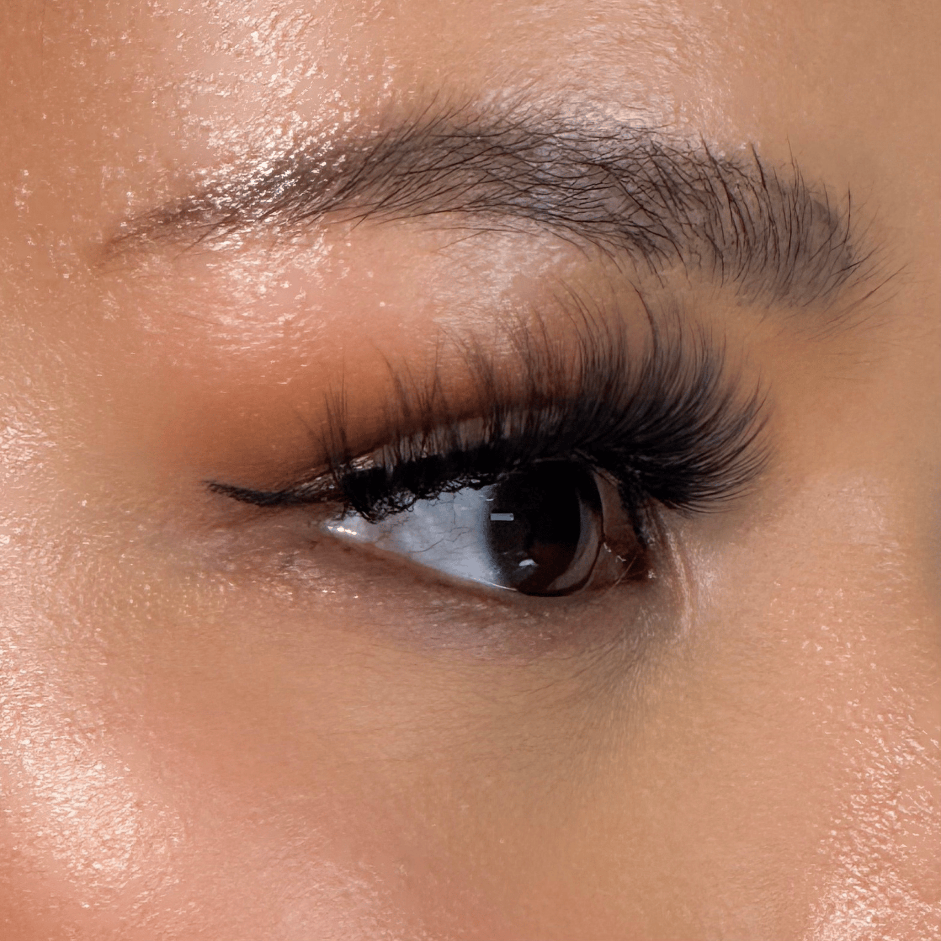 รุ่นโอนิกส์ | Onyx