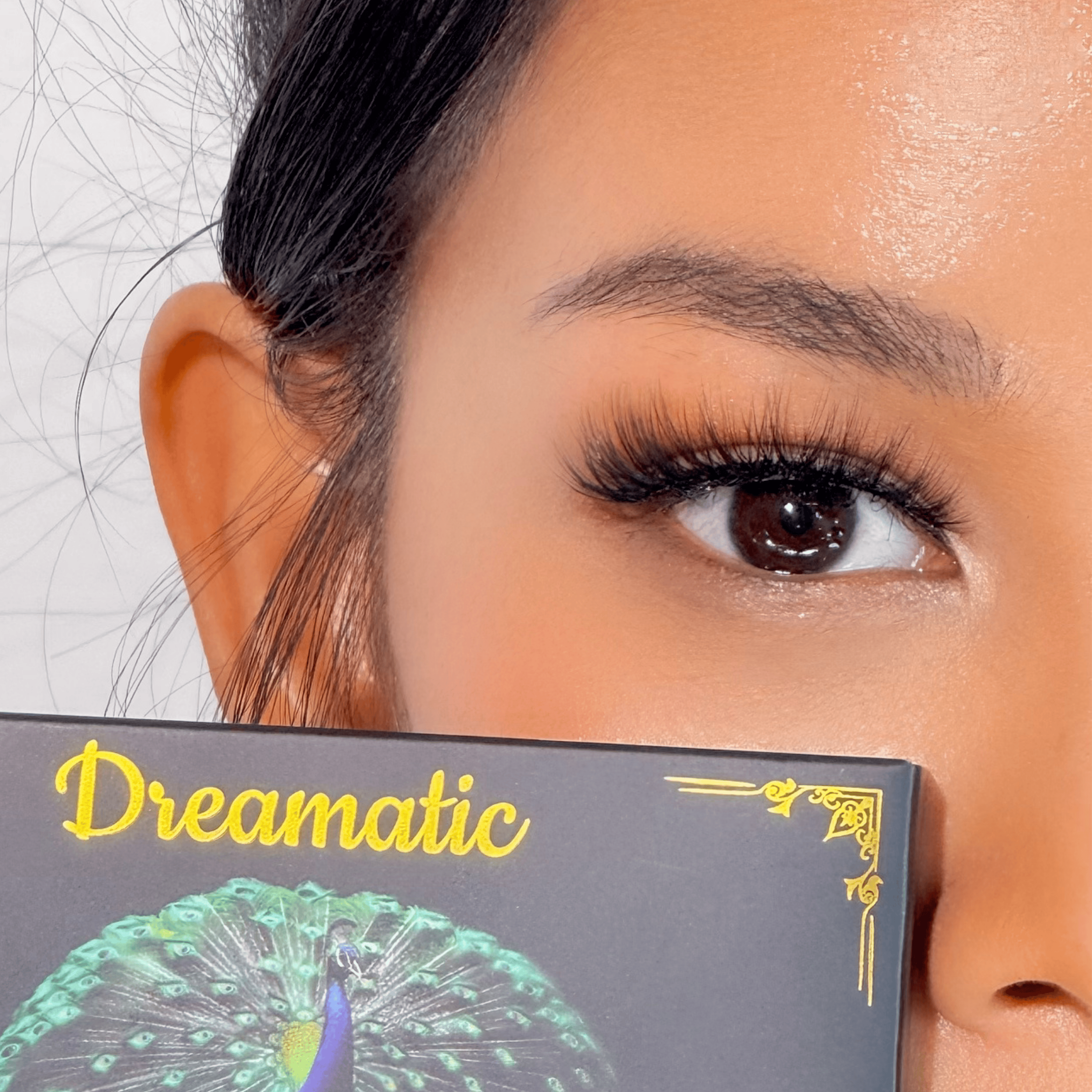 รุ่นไพลิน | Sapphire