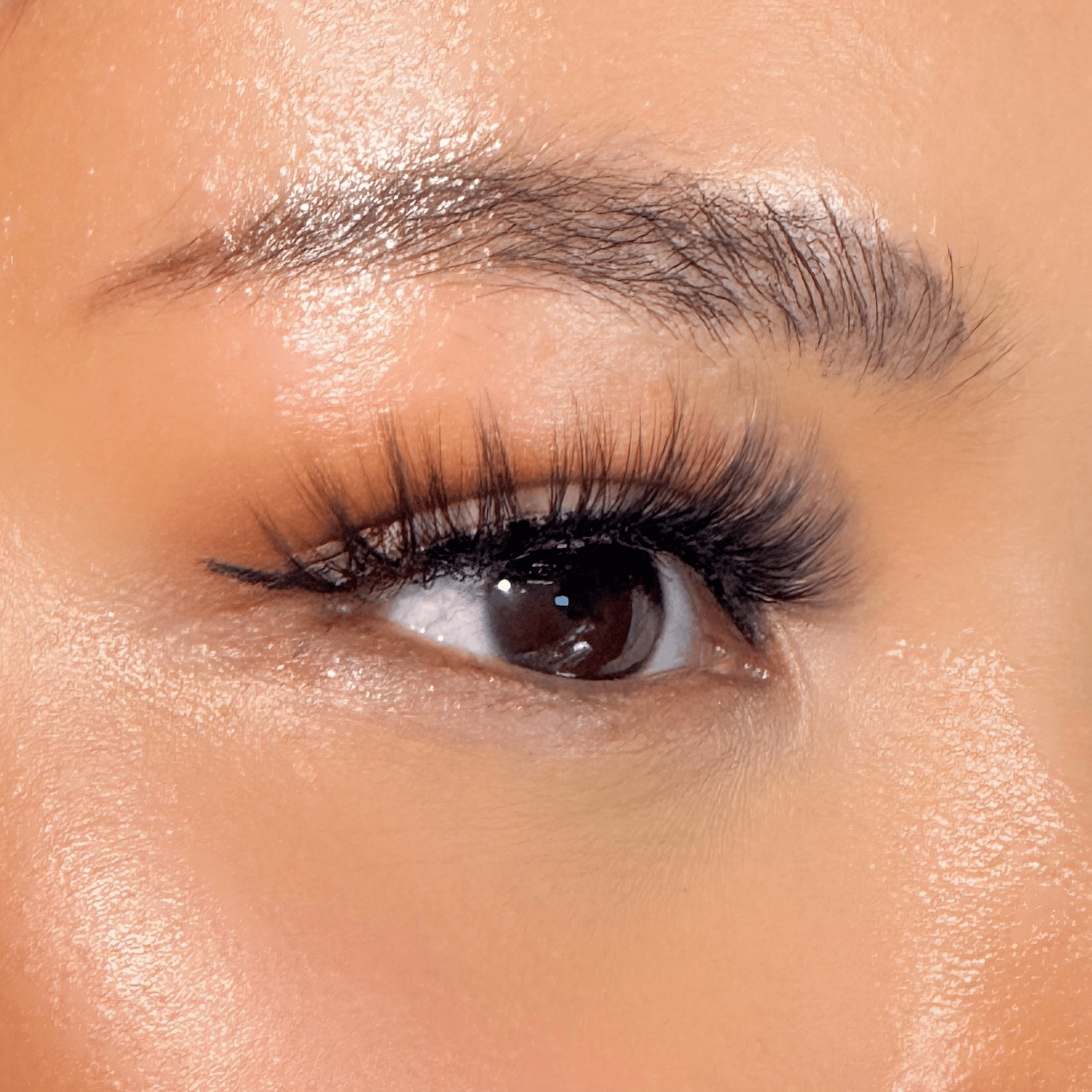 รุ่นไพลิน | Sapphire