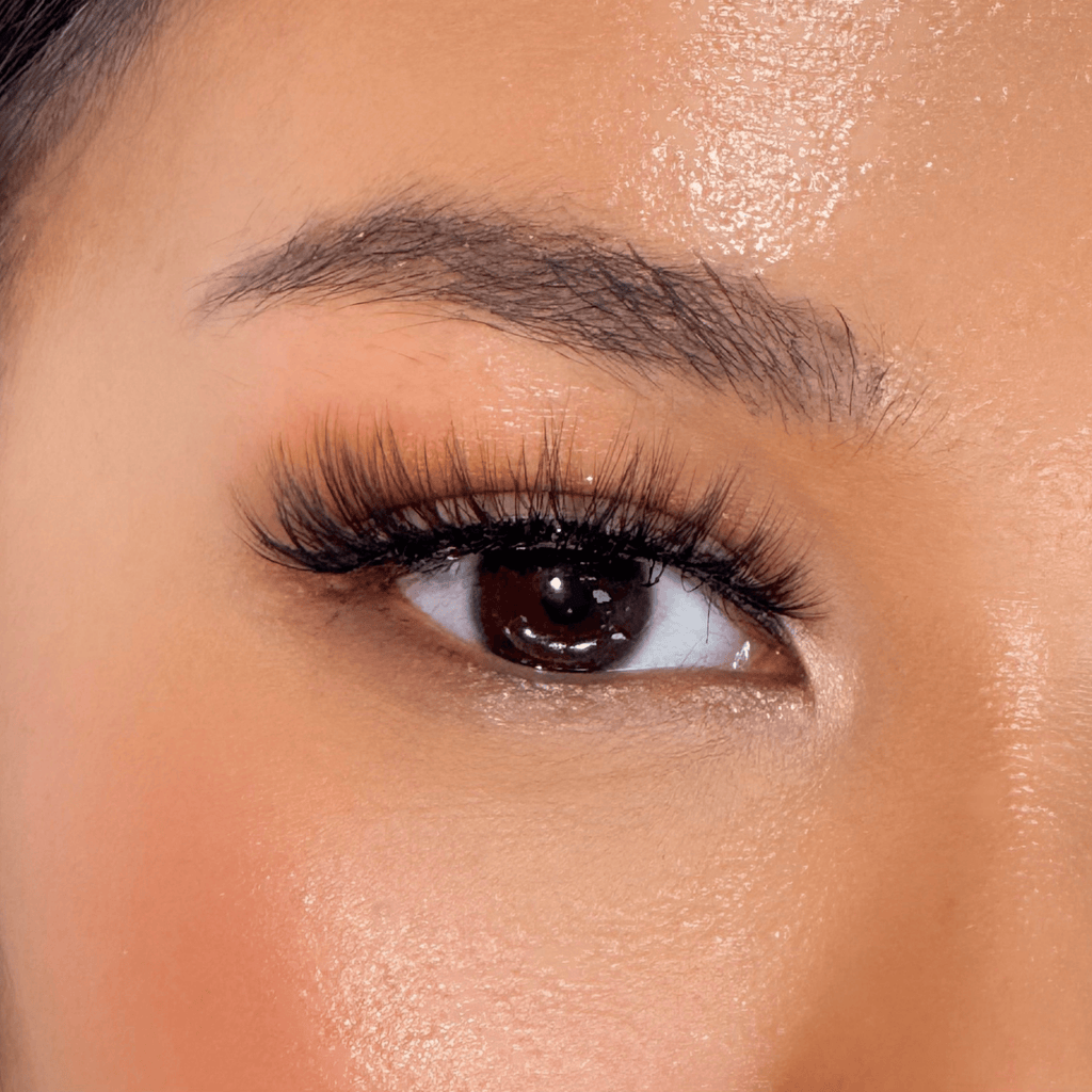 รุ่นไพลิน | Sapphire