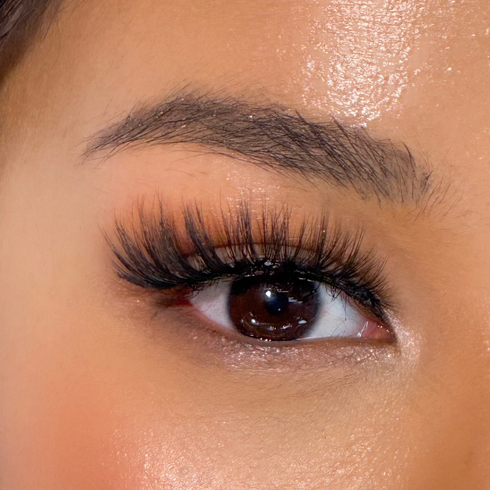 รุ่นอะเมทิสต์ | Amethyst