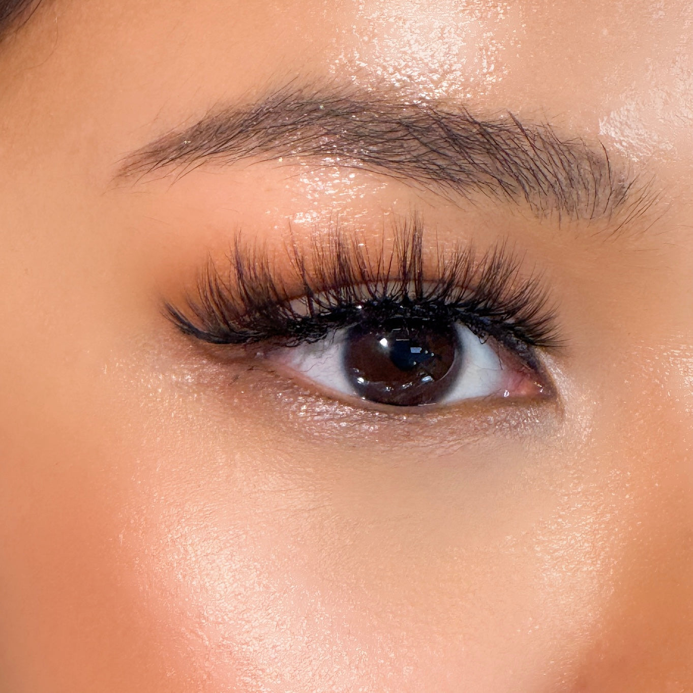 รุ่นเพชร | Diamond